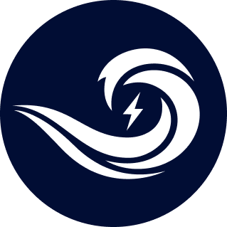 The Blue Pulse Logo